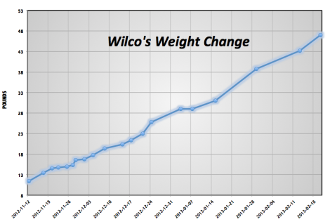 Wilcos Weight